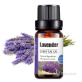 Pasokan pabrik 100% minyak esensial Lavender murni massal